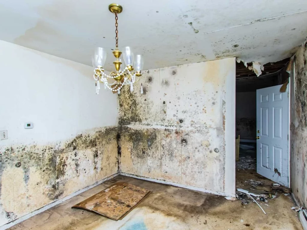 Sell a House with Mold in Houston, TX