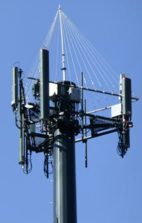 A green cell tower monopole with a netting devise installed to keep osprey away and prevent them from nesting on the tower. Osprey cause millions of dollars of delays to the cell site industry as they are protected birds of prey.