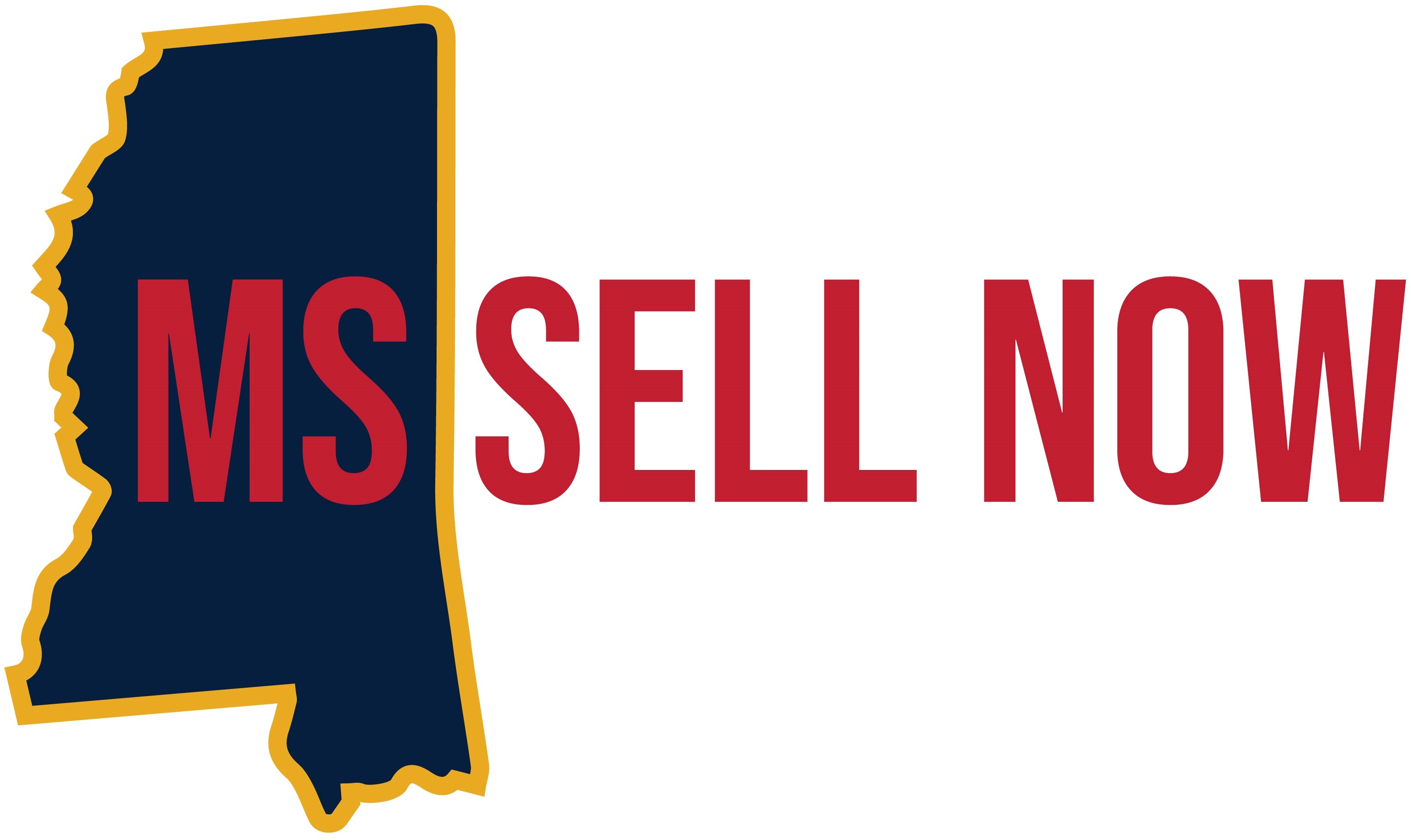MS Sell Now logo