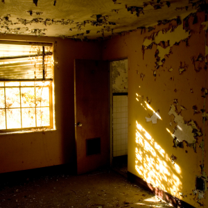 Sell My Hoarder House In New Mexico
