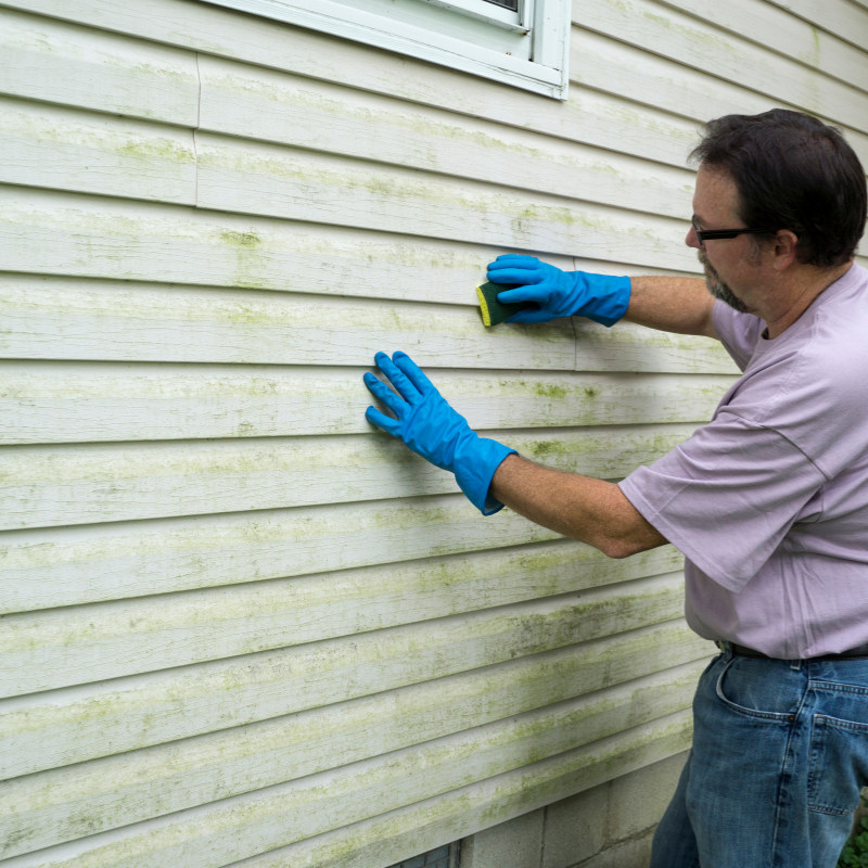 Sell My House With Molds in Charlotte North Carolina
