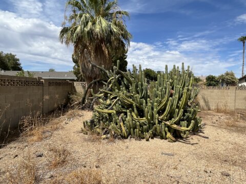 3012 E Beryl Ave Phoenix, AZ 85028