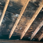 Easily Sell a Mobile Home With Water Damage 