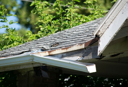 Selling a Mobile Home In Needs of Repairs