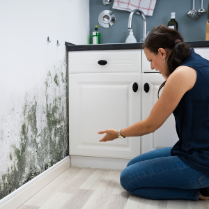 Selling a Mobile Home Affected by Mold in Oklahoma