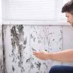 Selling a Mobile Home with Mold Problems in Oklahoma