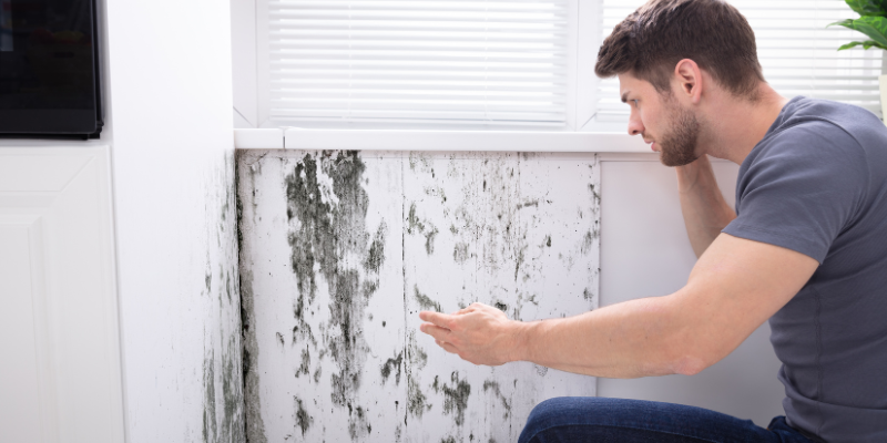 Selling a Mobile Home with Mold Problems in Oklahoma