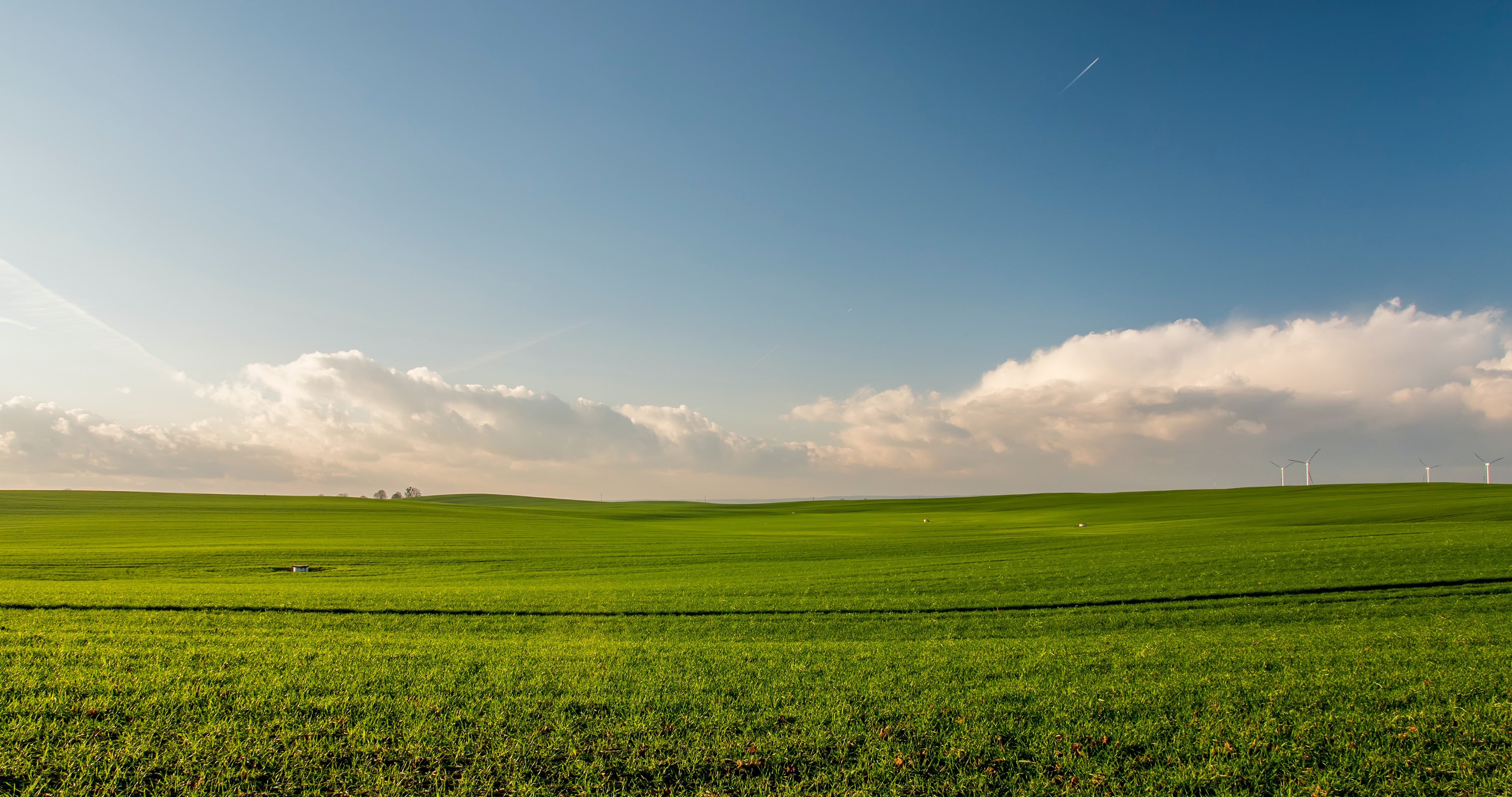 big plot of land needing to be sold