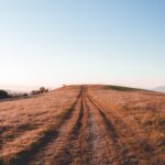 raw undeveloped land on hill