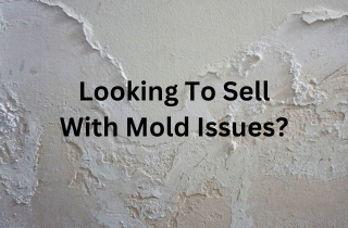 Home For Sale With Mold