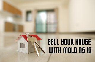 Selling Home Mold As-is