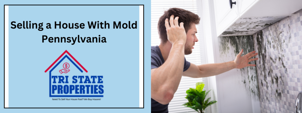 Selling House With Mold Philadelphia