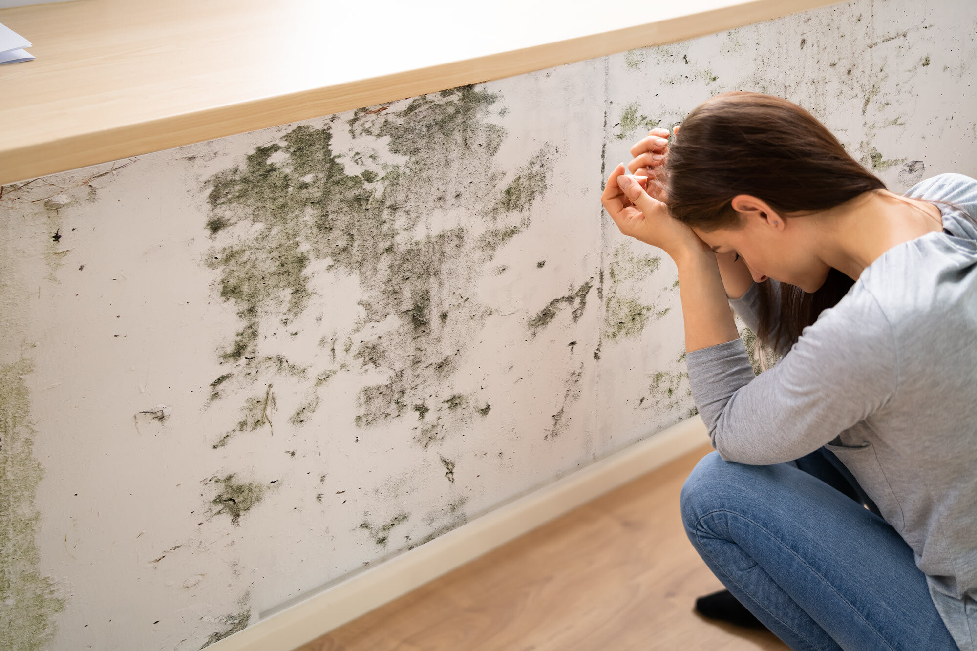 Selling a House With Mold