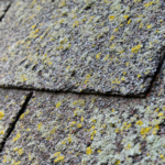 Sell Your House With Mold Florida