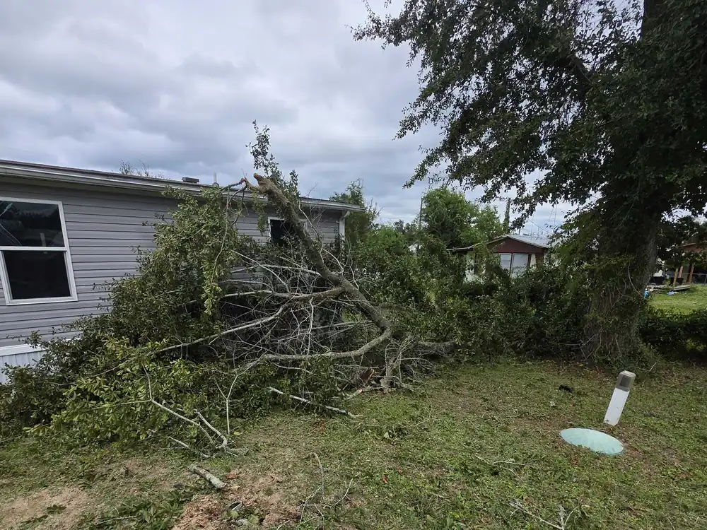 Fallen tree resting against a mobile home after Hurricane Isaias