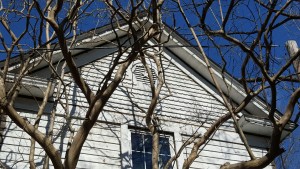 siding1