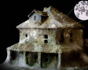Selling a House with Mold or Water Damage in Spokane Wa