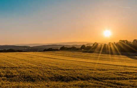 Selling Agricultural or Farmland in Washington State