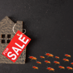 How to Sell a Home With Termites Knoxville