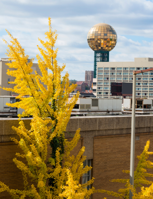 HOA Dues Past Due In Knoxville
