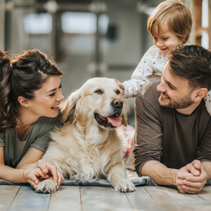 Selling a House with Pets Knoxville