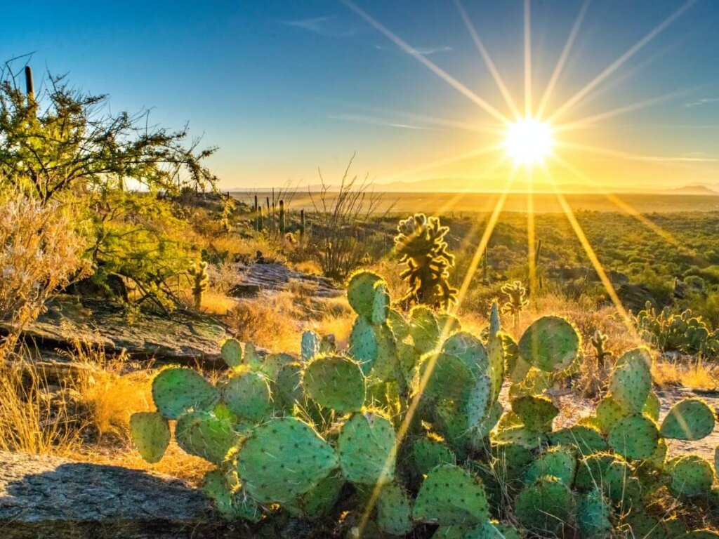 How Much Is My Land In Arizona Worth