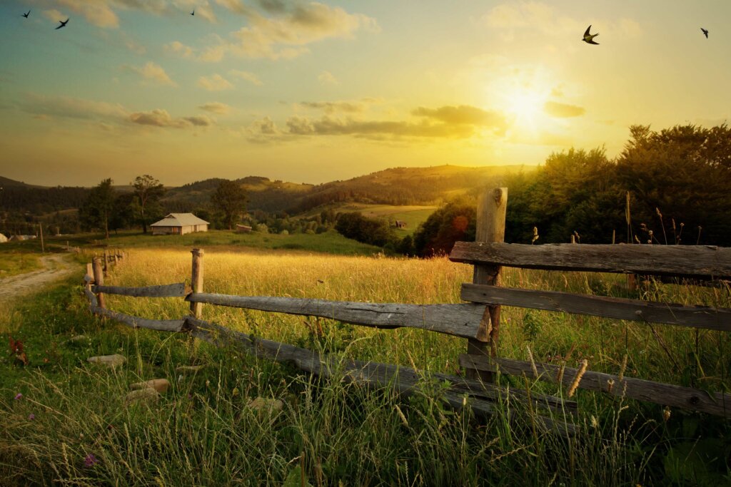 sell land for cash GA