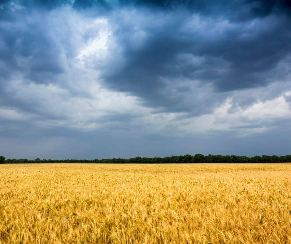 sell land for cash Kansas