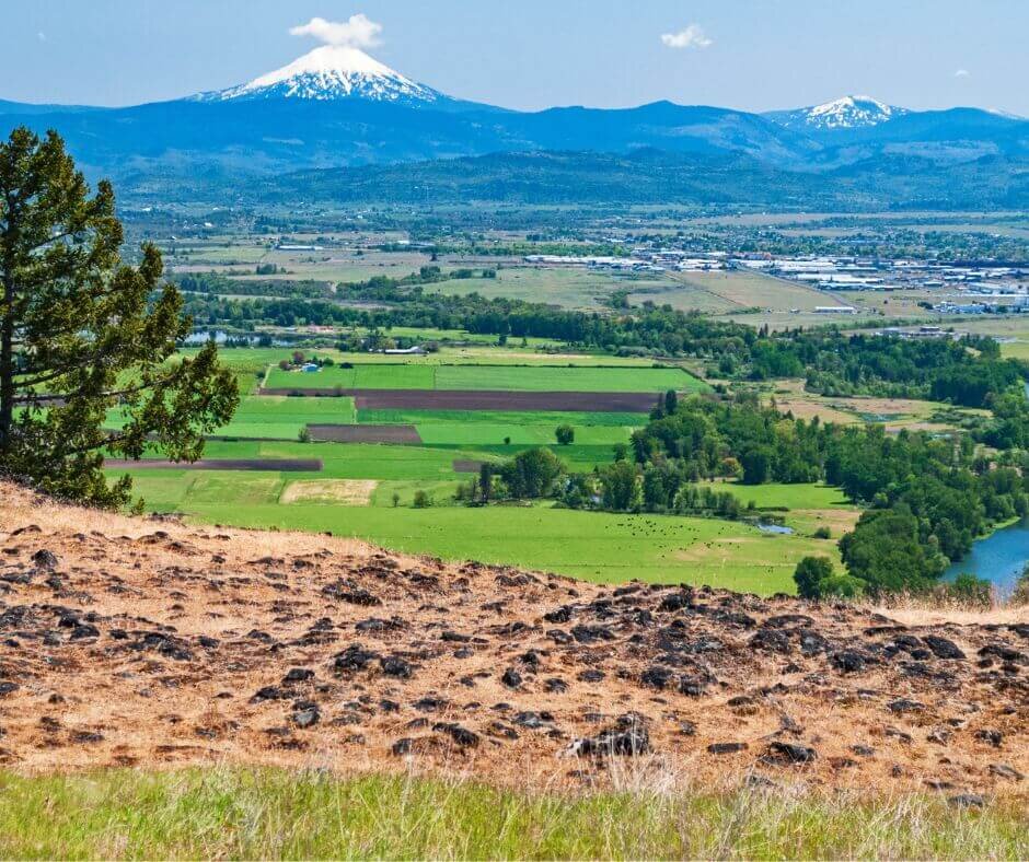 How Much Is My Land In Oregon Worth
