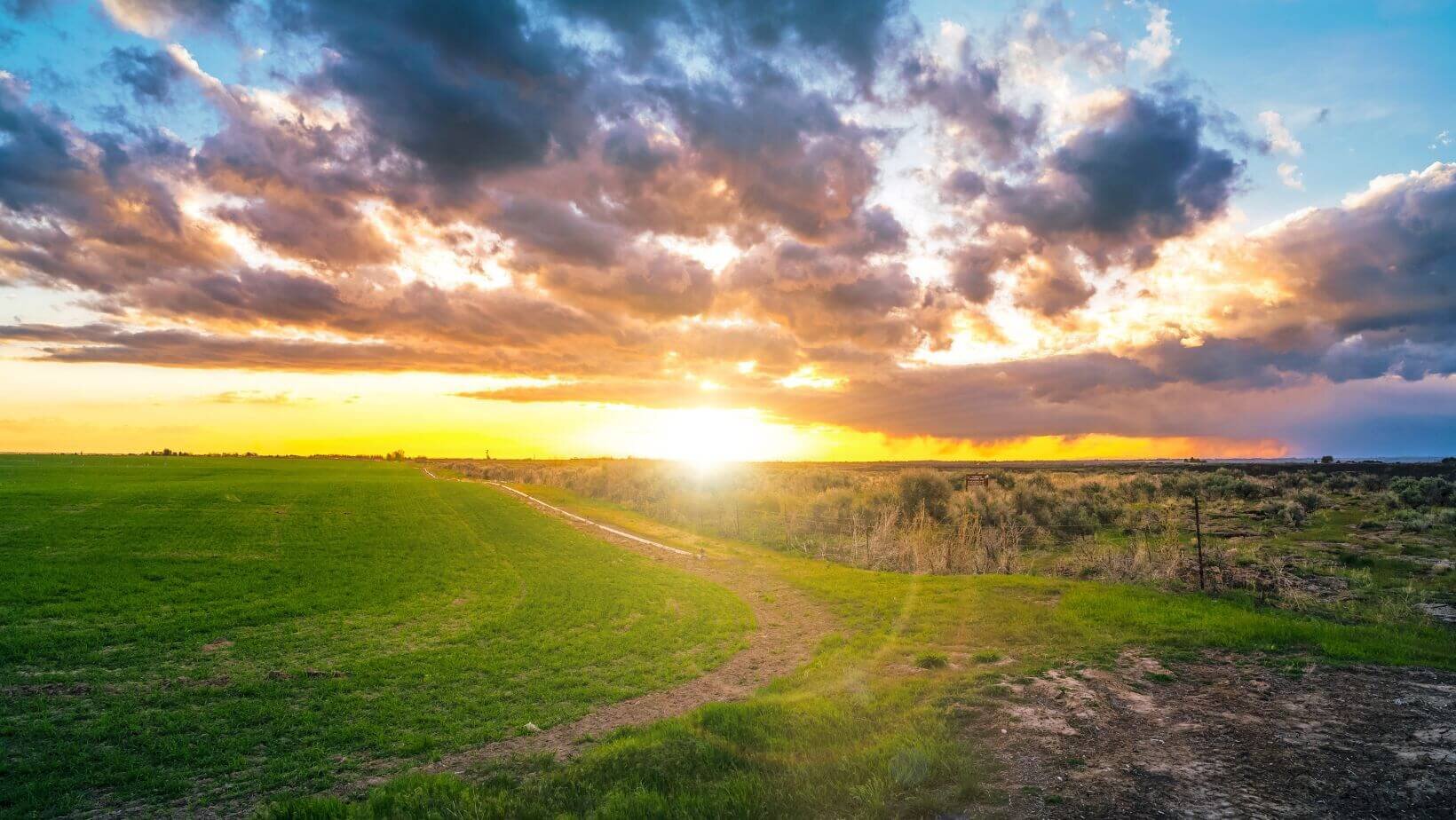 Sell Idaho Land Fast We Buy Land In Cash