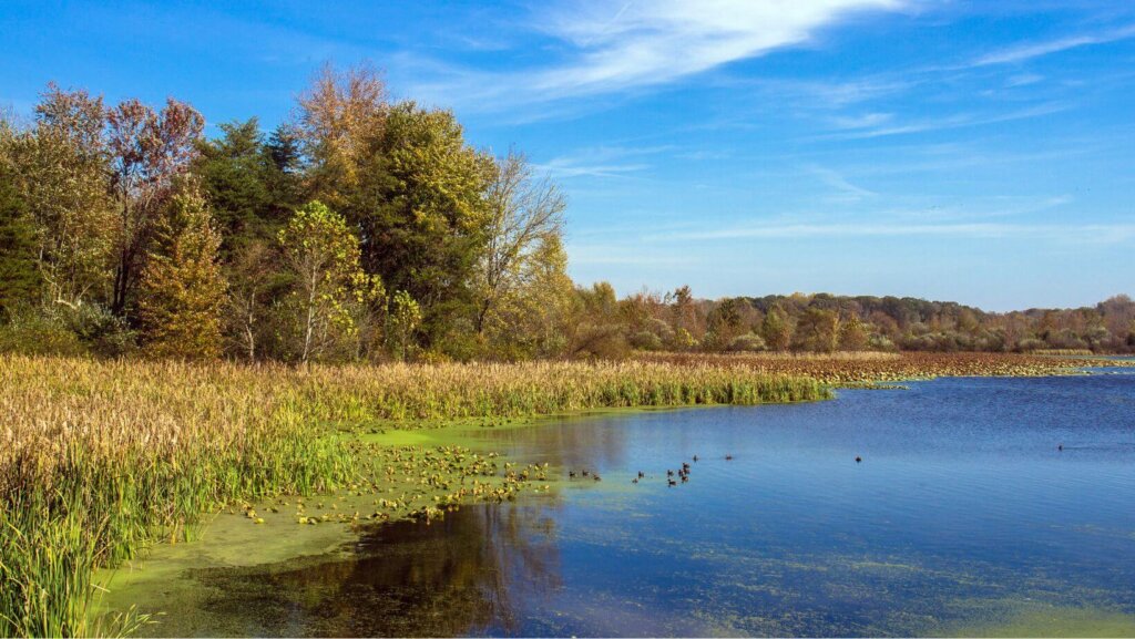 How Much Is My Land In Indiana Worth
