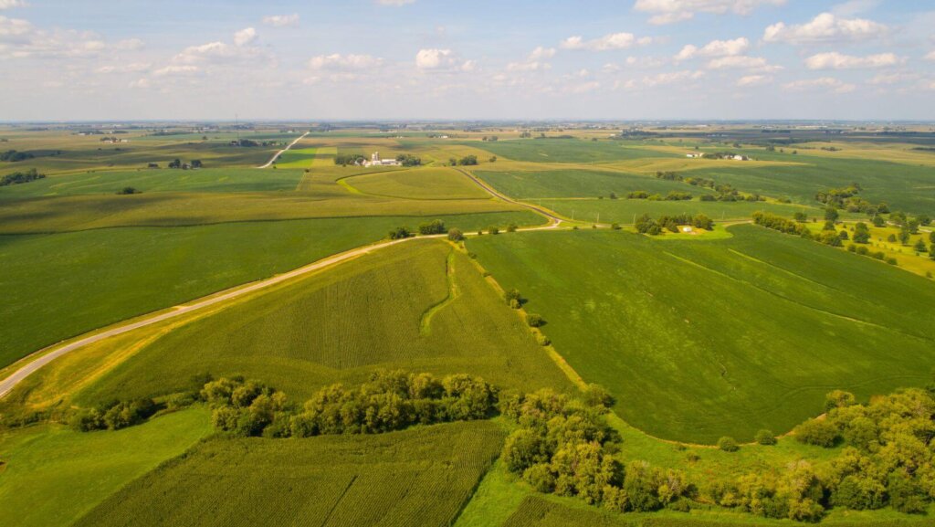 sell land with liens or back taxes in IA
