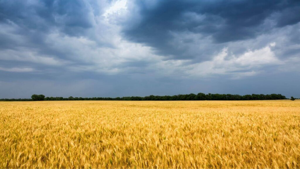 How Much Is My Land In Kansas Worth
