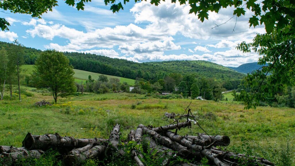 sell land with liens or back taxes in Massachusetts