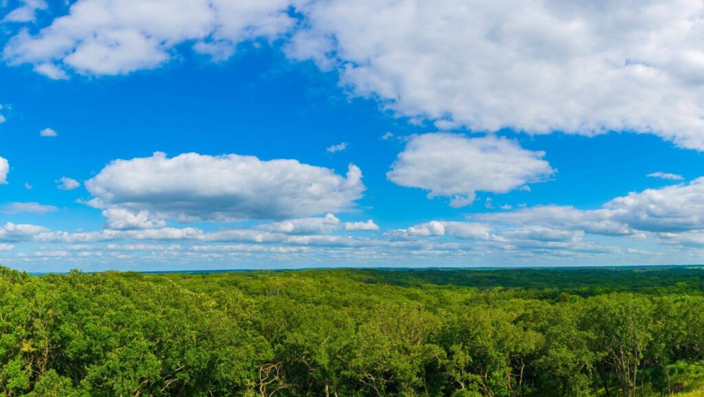 sell land with liens or back taxes in MN