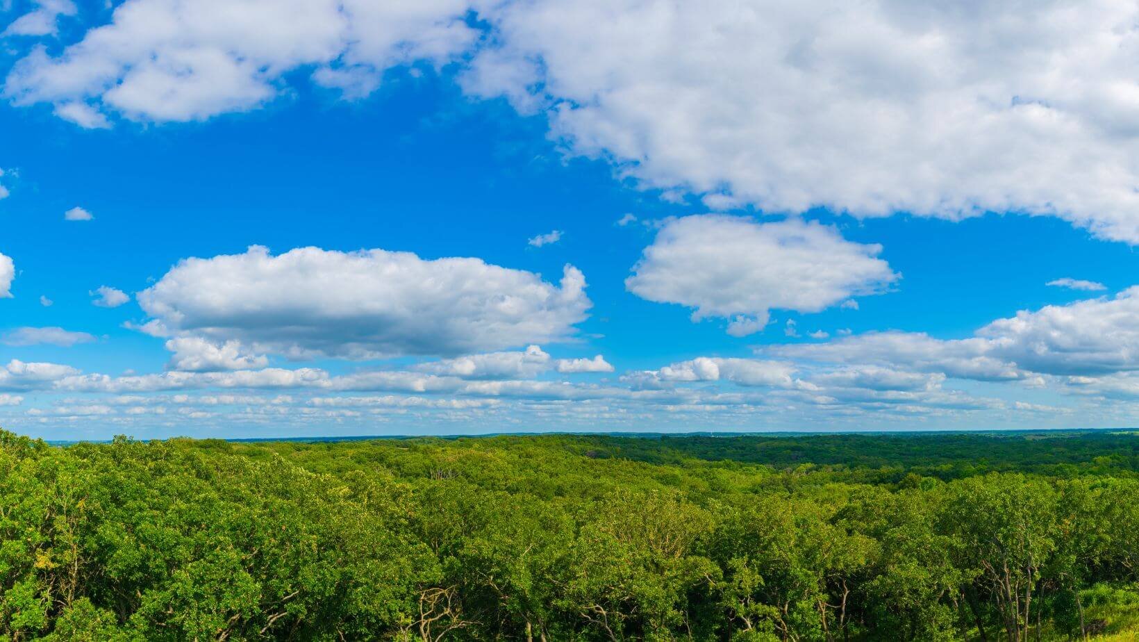 Sell Minnesota Land Fast | We Buy Land In Cash