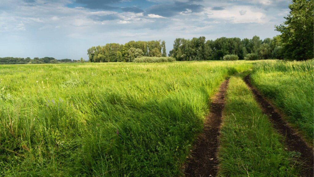 Sell Land By Owner In Mississippi
