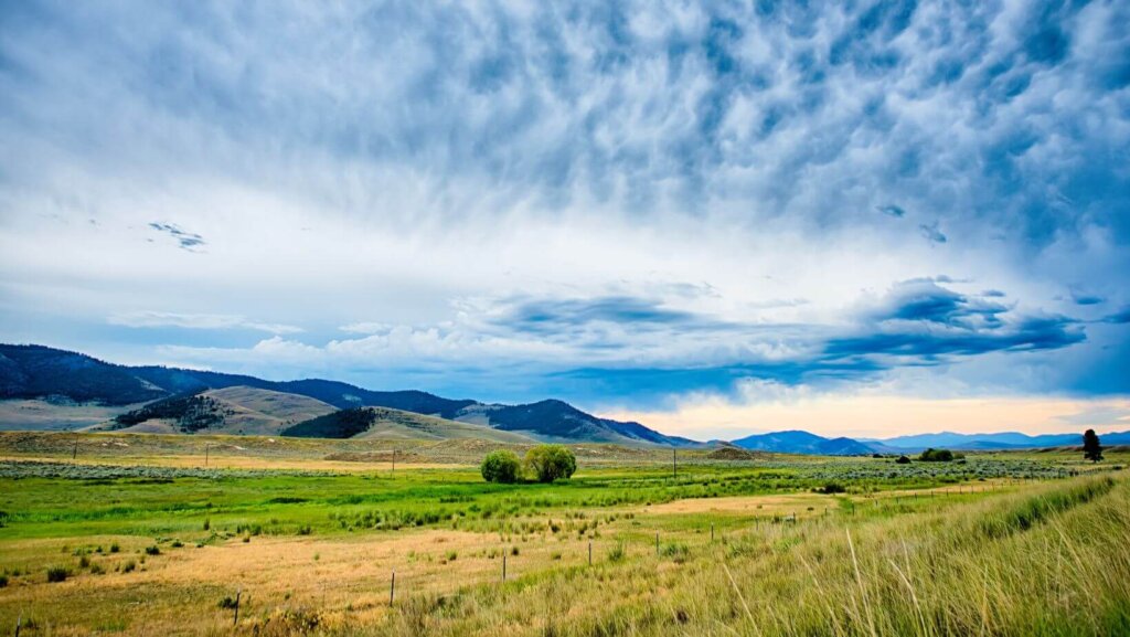 sell land with liens or back taxes in Montana