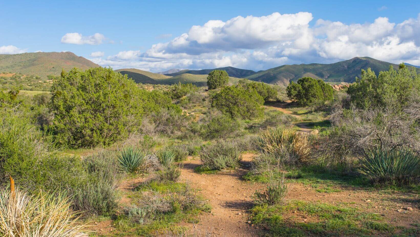 Sell Nevada Land Fast We Buy Land In Cash