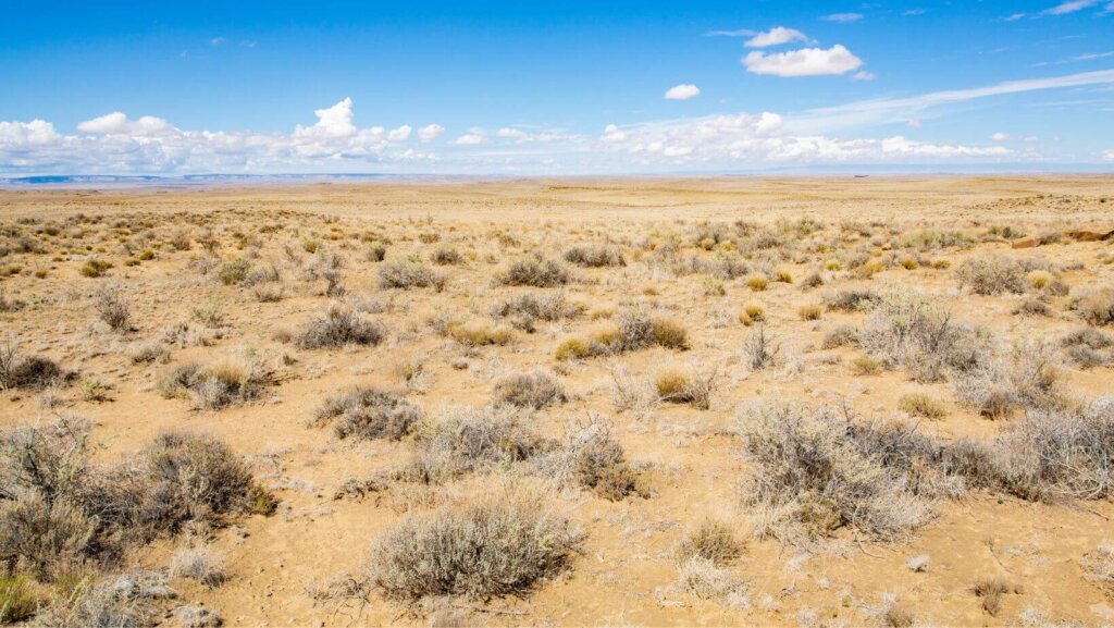 Sell Land By Owner In New Mexico