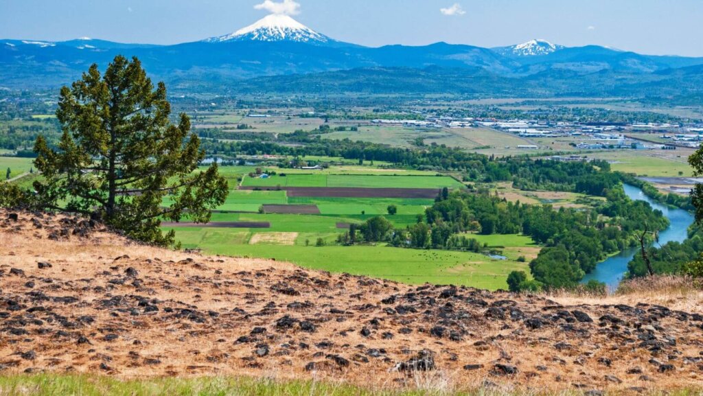 sell land with liens or back taxes in Oregon