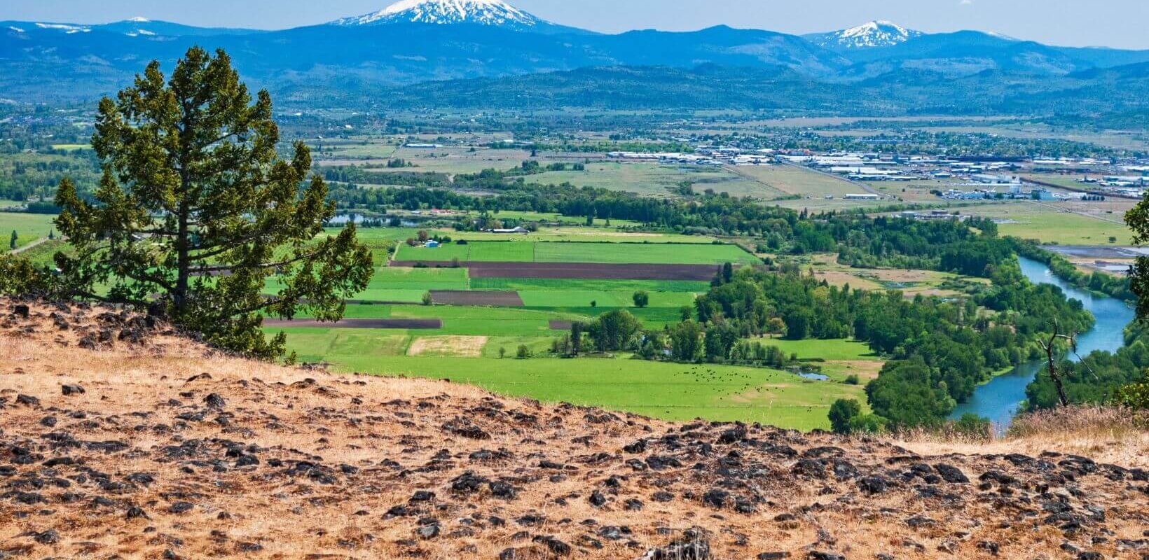 sell land with liens or back taxes in Oregon