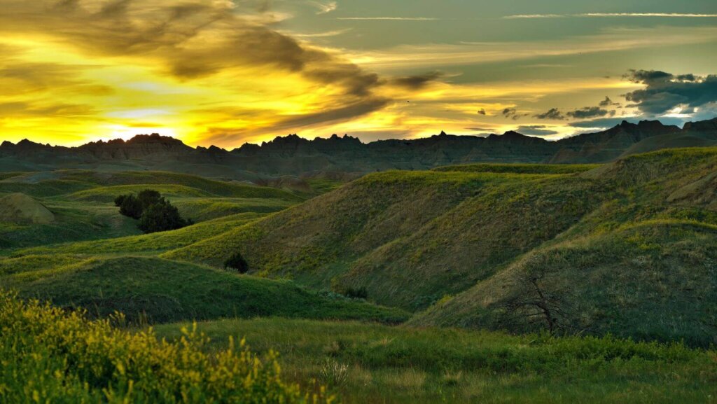sell land with liens or back taxes in SD