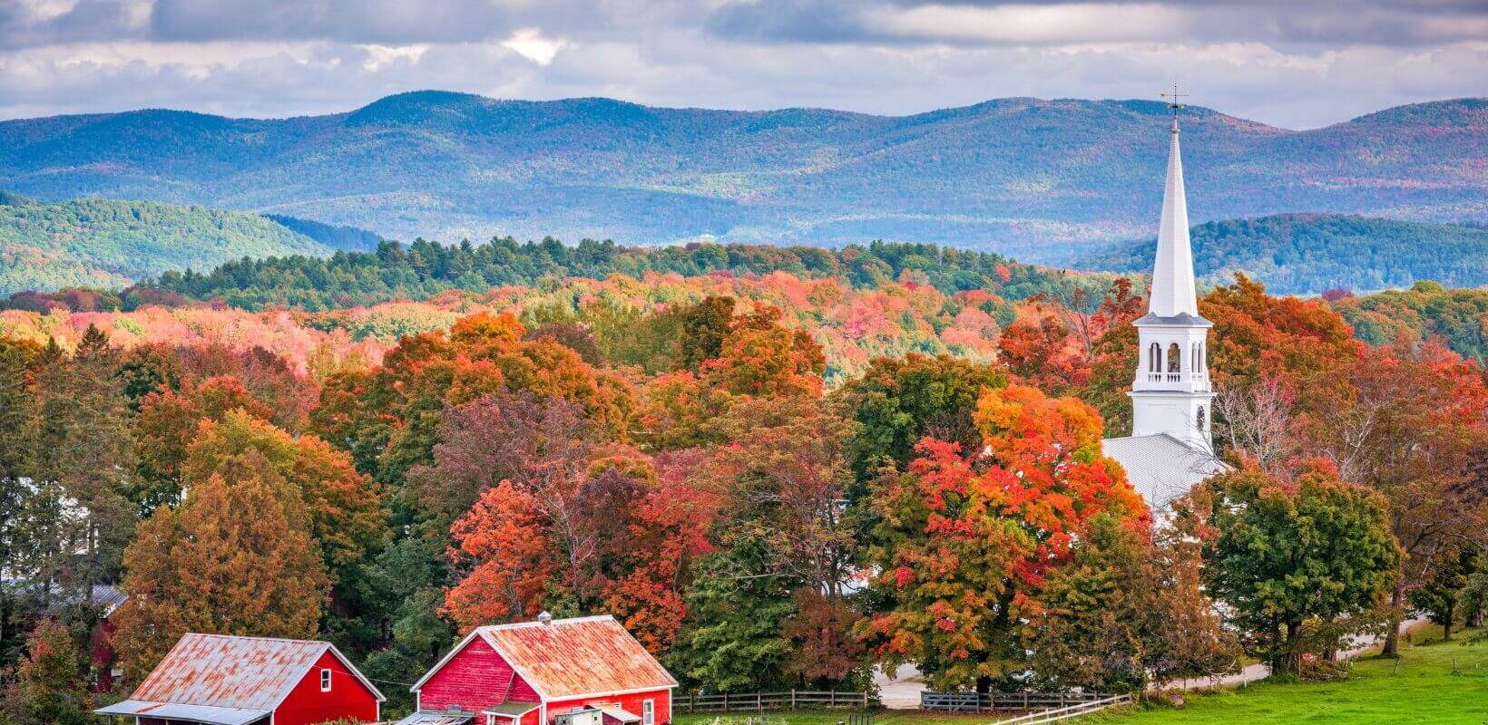 sell land with liens or back taxes in Vermont