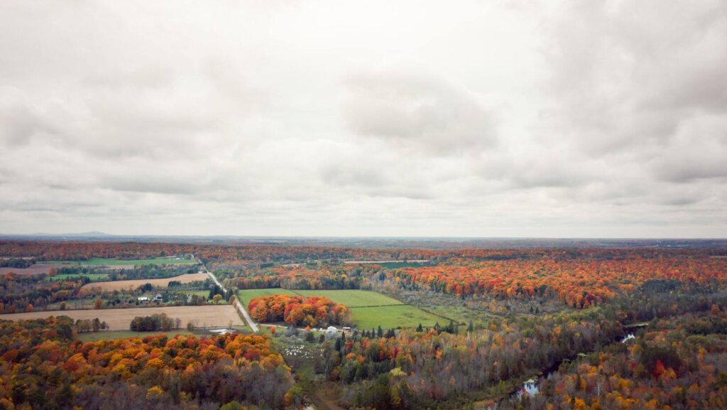 sell land with liens or back taxes in WI