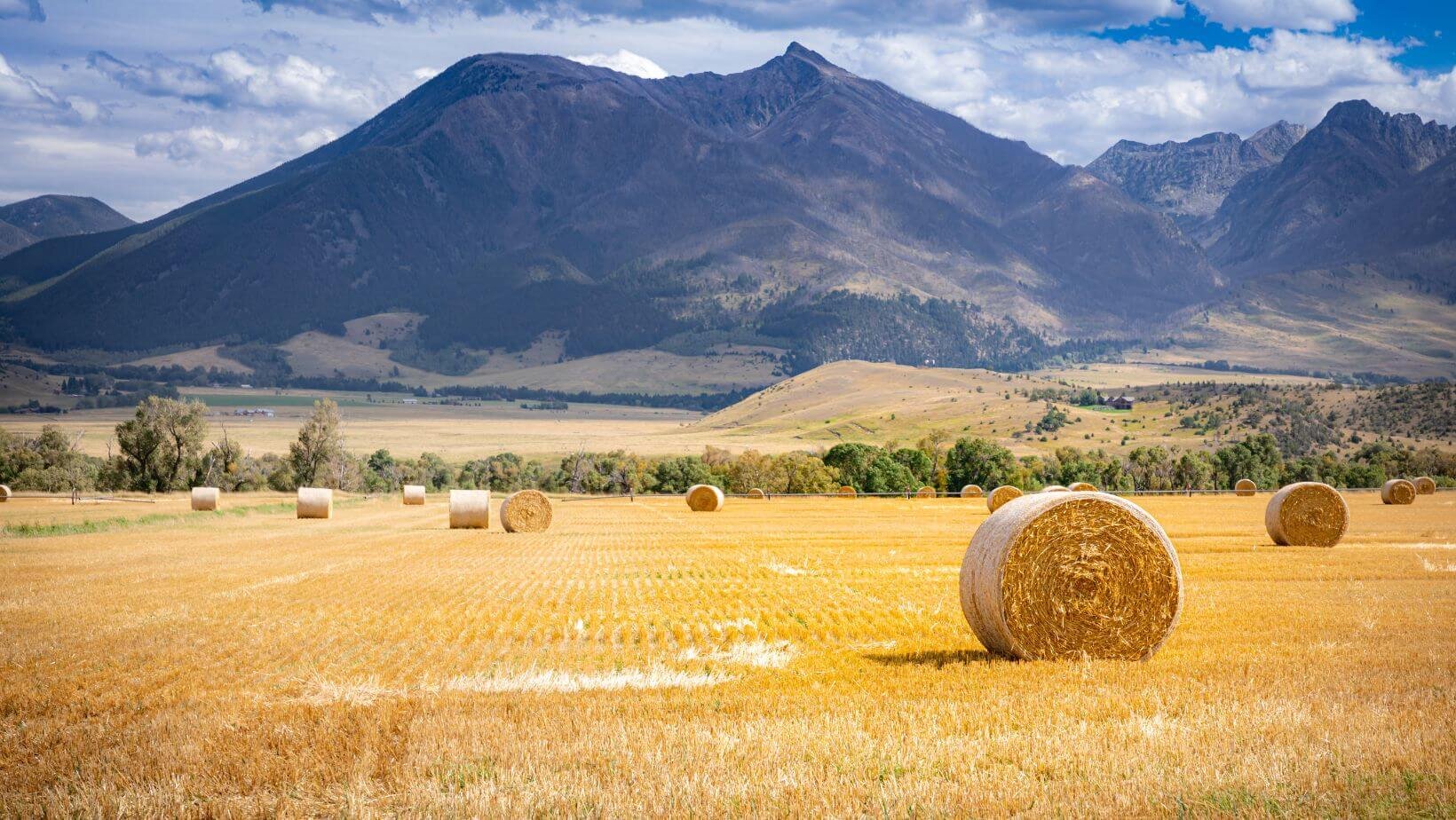 Sell Wyoming Land Fast We Buy Land In Cash