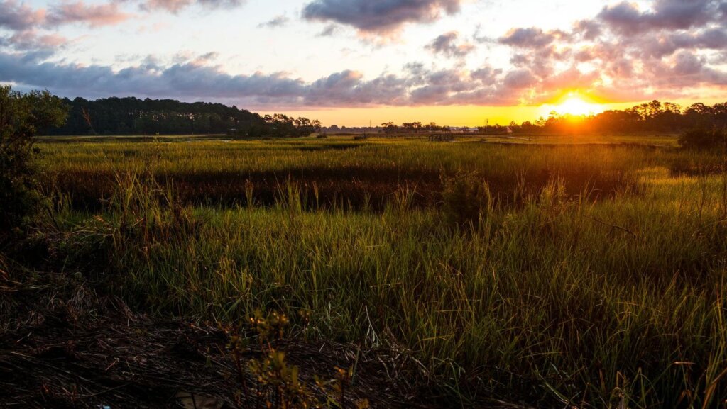 sell land by owner in South Carolina
