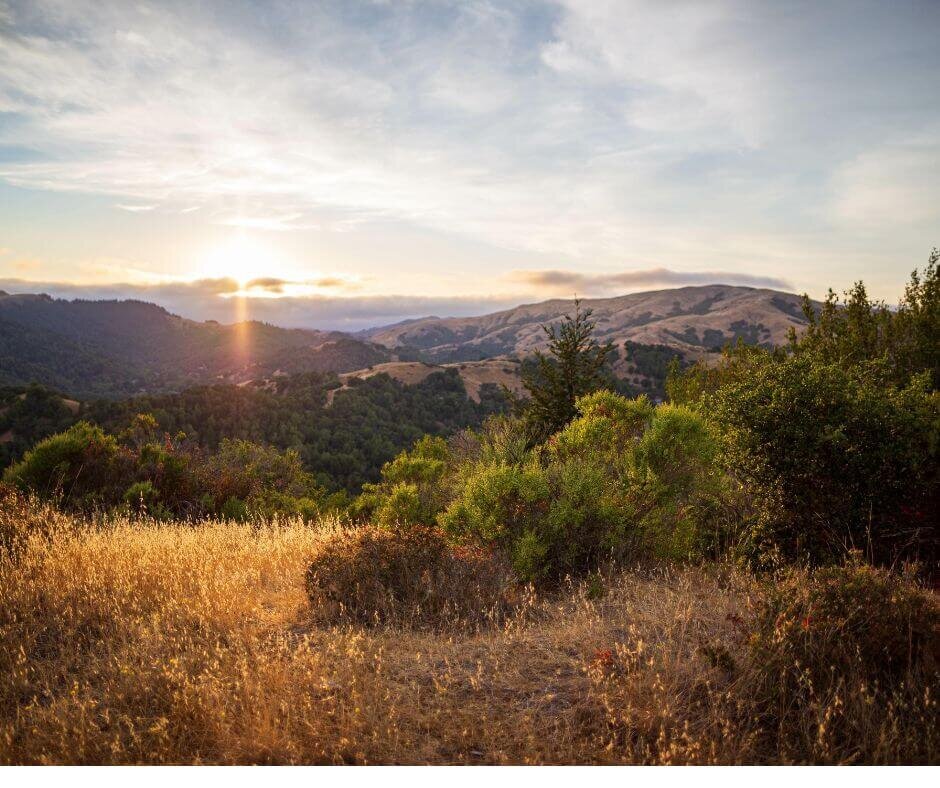 we buy land for development in California