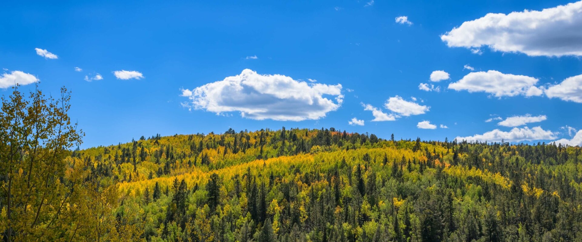 sell land to a developer in Colorado
