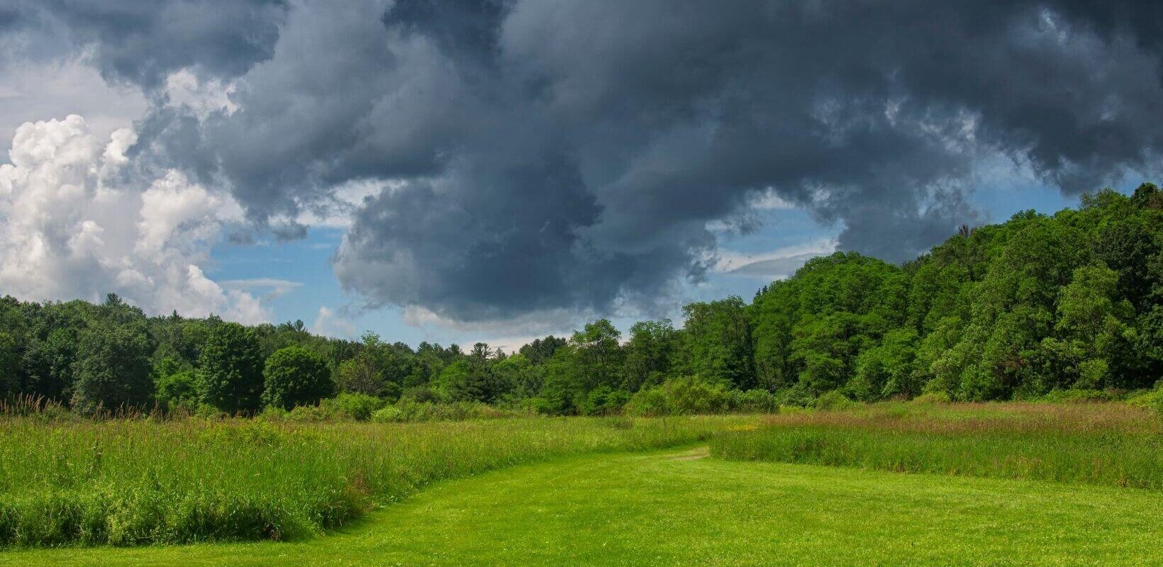 sell land to a developer in Connecticut